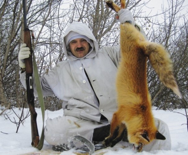 охота на лисиц на приваде
