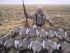 Гусиная охота в Казахстане